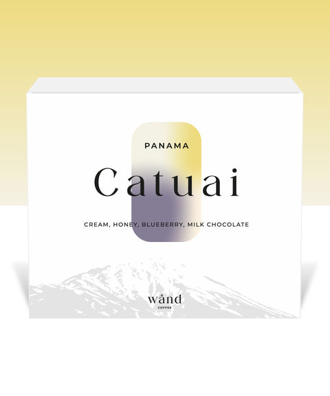 Panama Catuai