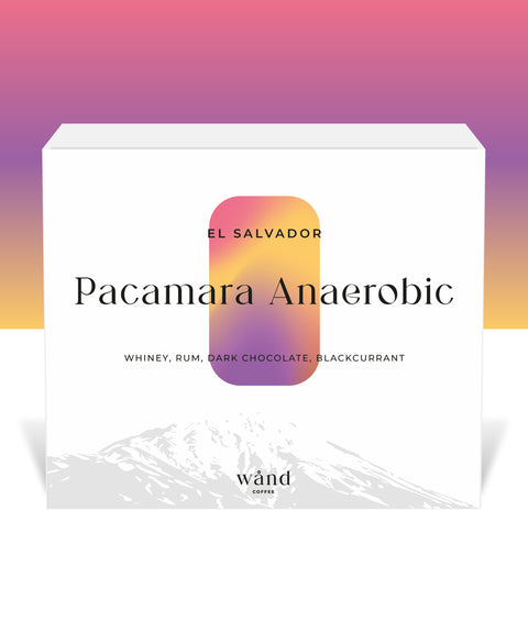 Pacamara Anaerobic